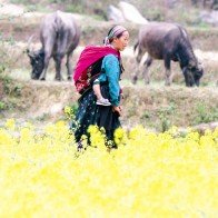 Chuyện ảnh: Xuân sớm trên mái nhà Tổ quốc