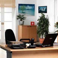 Phong thủy cho sự nghiệp năm Bính Thân "lên như diều gặp gió"