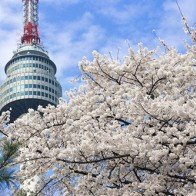 Những điểm đến lý tưởng cho tháng 3