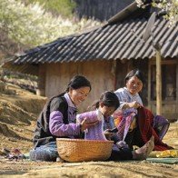 Nắng về trên thảo nguyên
