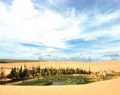 Huyền bí hồ Bàu Trắng lung linh giữa đồi cát hoang sơ