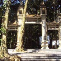 Khám phá bí mật của "ngàn xanh" trên đỉnh non Tản