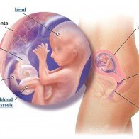 Thai nhi sợ nhất 9 điều này… khi còn nằm trong “túi ối”!
