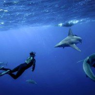 Những hoạt động du lịch mạo hiểm chết người trên thế giới