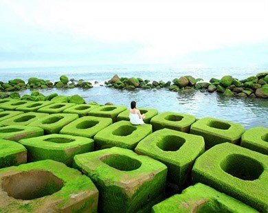 Phát sốt với thiên đường rêu xanh ở Phú Yên
