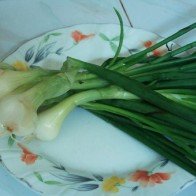 Cách để cầm máu ngay trong 30 giây