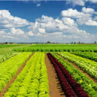 PAN Group bán 80% mảng dịch vụ vệ sinh cho công ty Nhật Bản