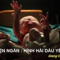 Hình hài dấu yêu (p1)