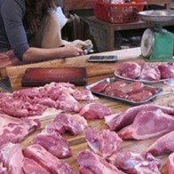 Phạt tù người sử dụng chất cấm trong chăn nuôi: Liệu có dễ?