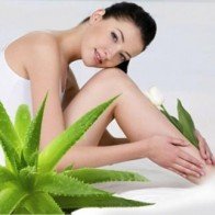 Loại cây để trong phòng giúp bạn đặt lưng xuống là ngủ tới sáng