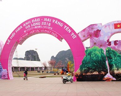 Lễ hội hoa Anh đào – Mai vàng Yên Tử, Hạ Long 2016 – Lễ hội hấp dẫn dành cho du khách