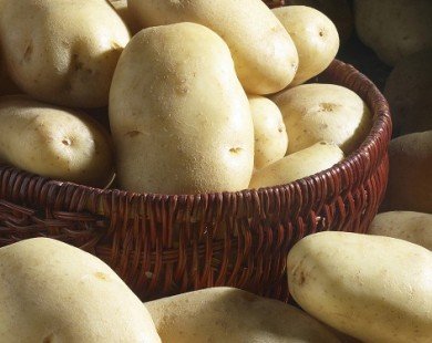 Vì sao cấm để khoai tây trong tủ lạnh?