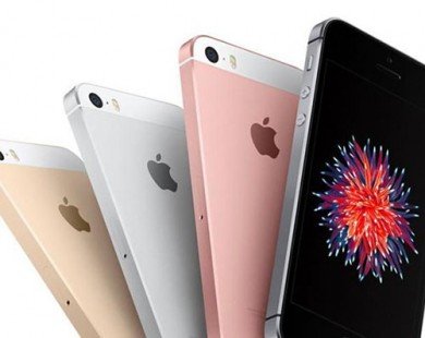 Việt Nam không nằm trong đợt mở bán tháng 4 của iPhone SE