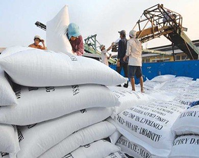 Xuất khẩu gạo quý 1 tăng trên 40% cả về khối lượng và giá trị