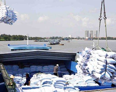 Xuất khẩu gạo không quá lo thị trường