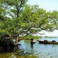 Tam Hải – Hòn đảo xinh đẹp ít người biết đến ở Quảng Nam