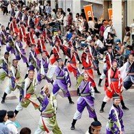 Lễ hội Hanami Đà Nẵng trưng bày 300 cành hoa anh đào