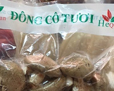 Hà Nội: Tràn lan nấm chất lượng không đảm bảo