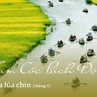 Chọn điểm đến đẹp tuyệt trong 12 tháng