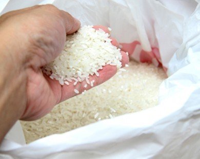 Cách nhận biết gạo 