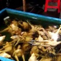 Chất cấm gây ung thư, ai nói đâu mà biết?