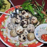 Cách luộc trứng cút lộn ngon, ngọt, không bị vỡ cho bữa sáng