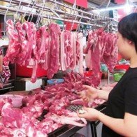 6 tấn chất cấm tạo nạc bán trộm ra ngoài đang ở đâu?