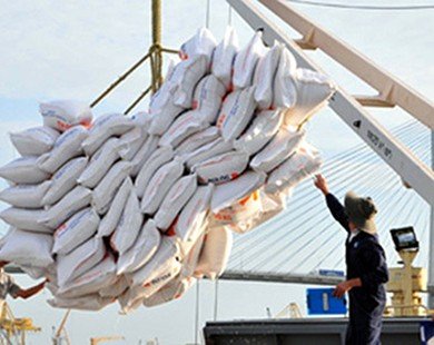 Xuất khẩu gạo gần đạt 1 tỷ USD sau 4 tháng đầu năm
