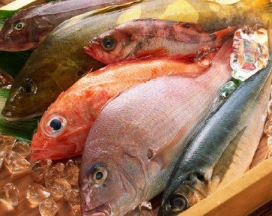 Cách phân biệt cá biển tươi và cá đã bị nhiễm độc