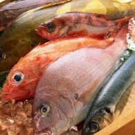 Cách phân biệt cá biển tươi và cá đã bị nhiễm độc