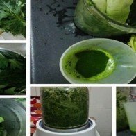 Lá cây gì có thể chữa được 7 bệnh nguy hiểm