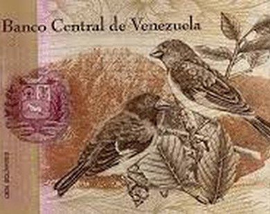 Lạm phát 500%, Venezuela thậm chí không có tiền để in thêm tiền