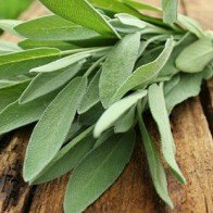 Thức ăn bổ não