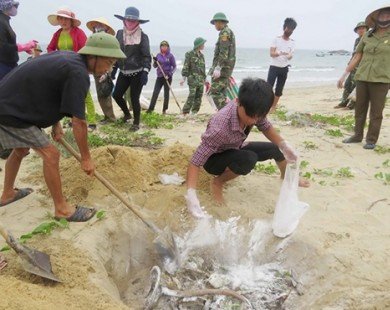 BIDV dành 1.500 tỷ đồng hỗ trợ ngư dân tại các tỉnh bị cá chết