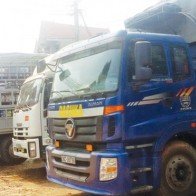 Thương lái Trung Quốc "lật kèo", người nuôi lợn lao đao