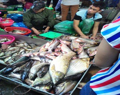 Tấp nập khách “săn” cá ươn giá rẻ tại chợ thực phẩm HN