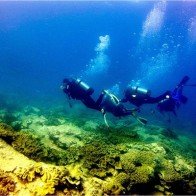 Rặng san hô tuyệt đẹp dưới đáy biển Bình Thuận