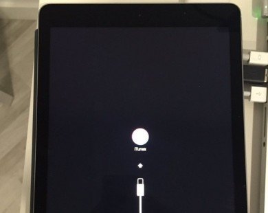 iPad gặp lỗi 'treo táo' sau khi cập nhật iOS 9.3.2