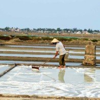 5 kg muối bằng 1 ly trà đá!