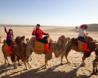 Cưỡi lạc đà giữa gió cát sa mạc Gobi - Trải nghiệm đáng nhớ