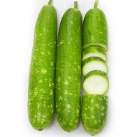 Quả bầu – món ăn bổ mát vào mùa hè và chữa bách bệnh