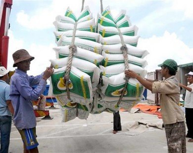 Doanh nghiệp xuất khẩu gạo kêu vướng Nghị định 109