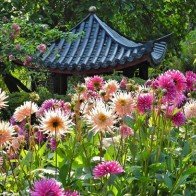 Những khu vườn đẹp tựa thiên đường trong mùa hè