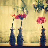 Chúng ta đã thực sự lãng quên nhau chưa?