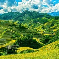 Việt Nam là điểm đến số 1 cho chuyến du lịch một mình
