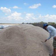 Kiến nghị mua tạm trữ muối