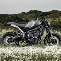 Thưởng thức "mãnh thú" Yamaha XSR900 Monkeebeast