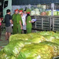 Rau cải Trung Quốc nhiễm độc thuốc sâu gấp 8 lần