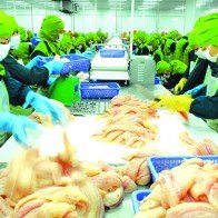 Cửa vay ngoại tệ lại mở