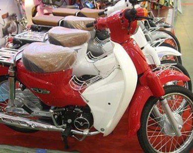 Xe nhái Honda Super Cub giá 13,9 triệu đồng ở Hà Nội